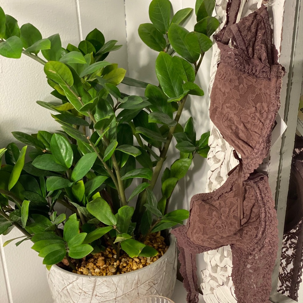 3 for $30 Hanky Panky Lace Bra